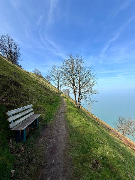 英格尔赛德旅馆-官方