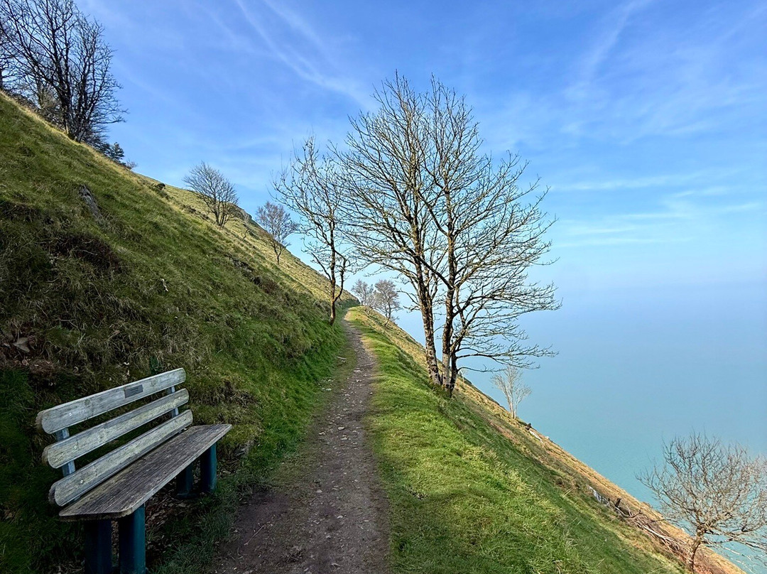 英格尔赛德旅馆主图