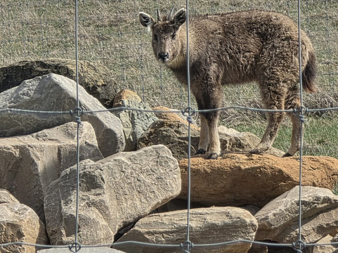 The Wilds-Cumberland必去景点