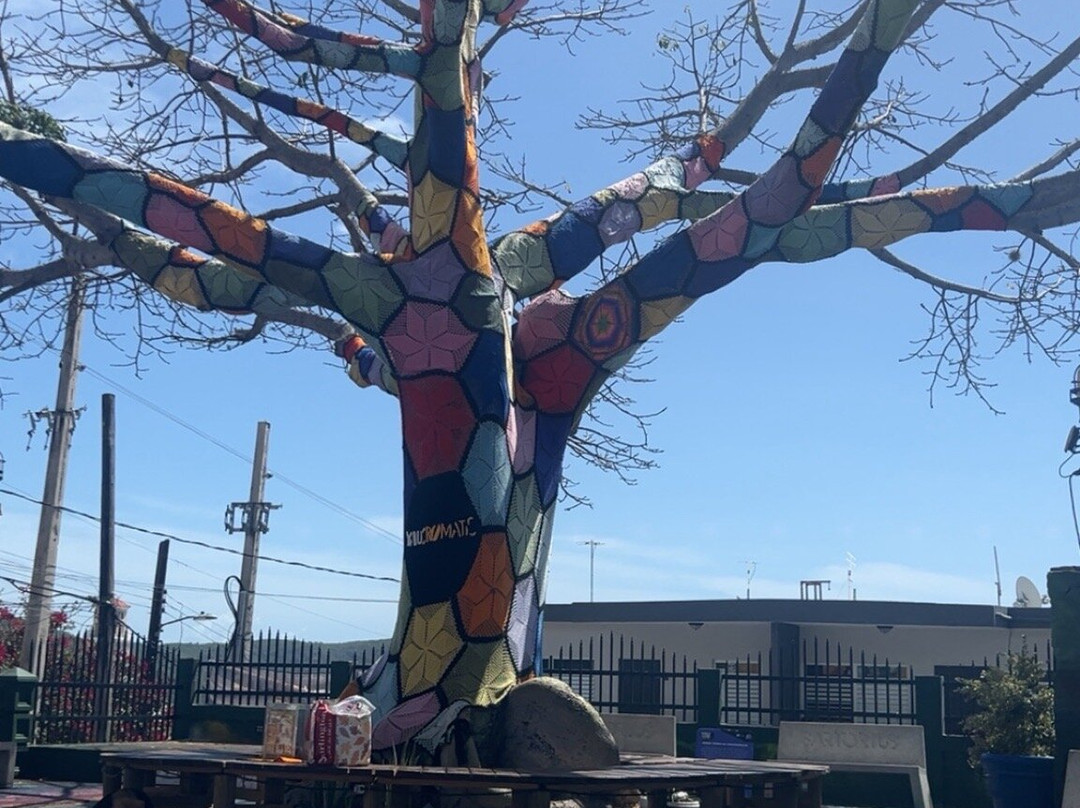 La Escalinata-Yauco必去景点