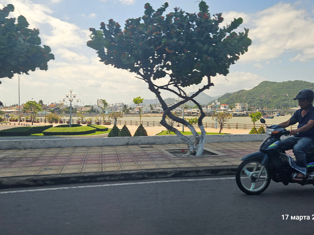Tran Phu Bridge-芽庄必去景点