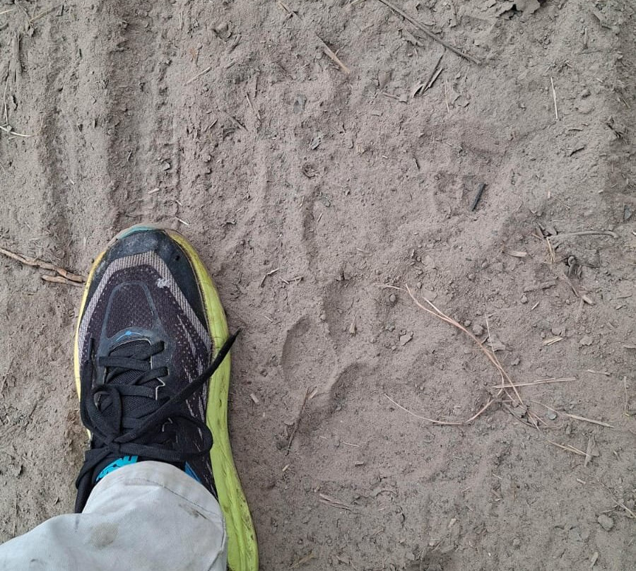 Wild Trails Nepal-Thakurdwara必去景点