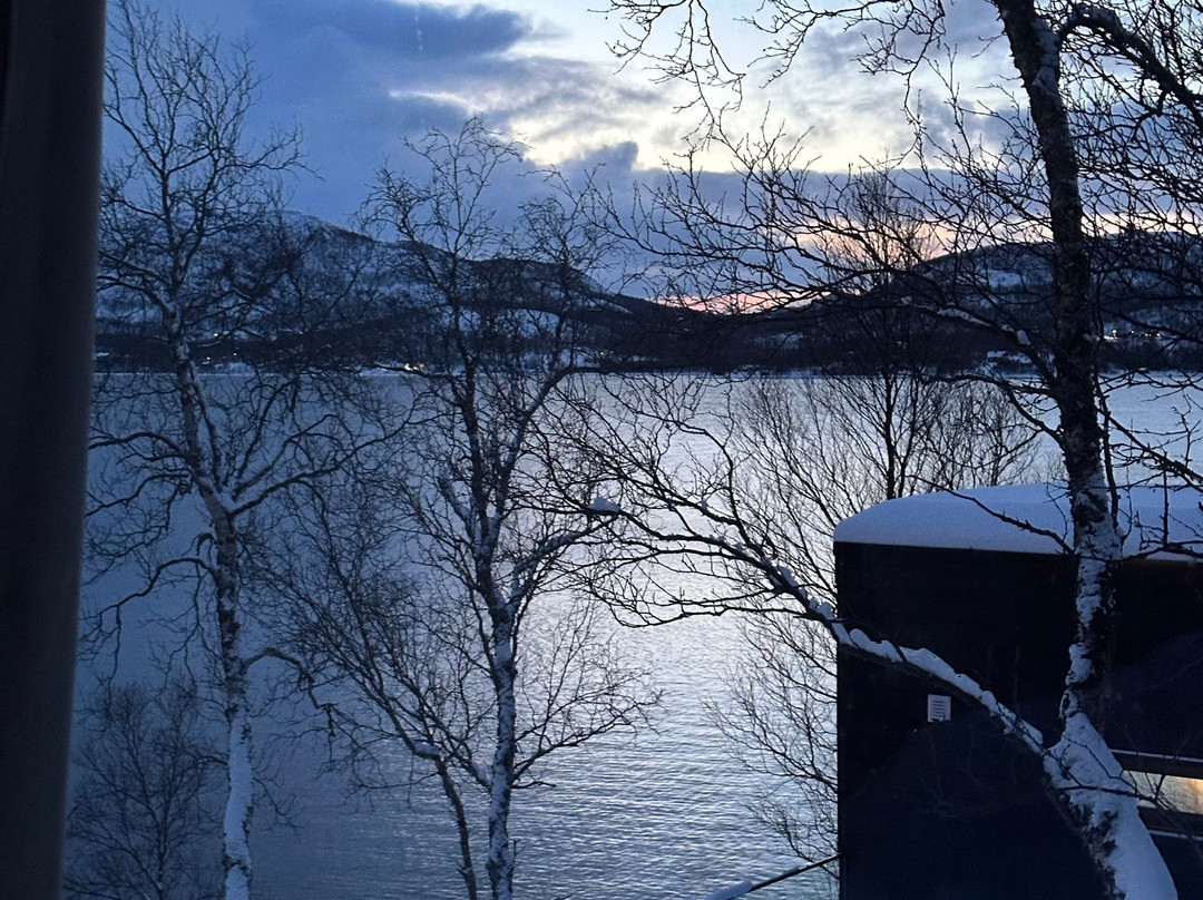 Aurora Sea Lodges