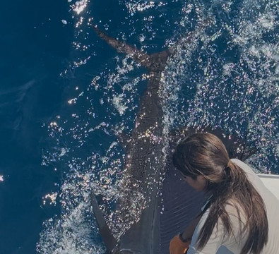 Marina Pez Vela-克波斯必去景点