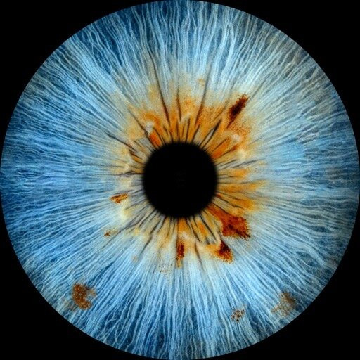 Iris Galerie Amsterdam Spiegelgracht-阿姆斯特丹必去景点