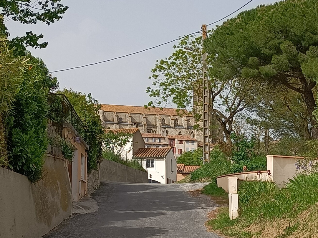 La Collégiale Saint Vincent-Montreal必去景点