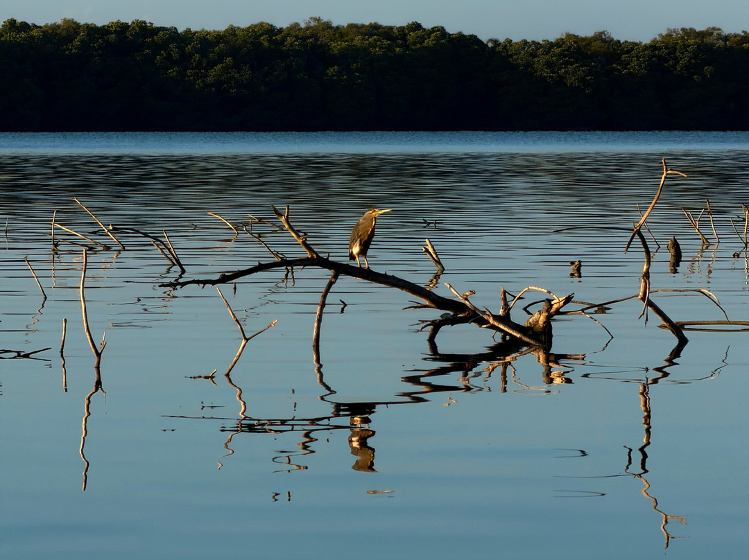 Kayak journey-Rekawa必去景点