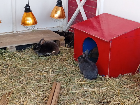 Acuario Michin Puebla-普埃布拉必去景点