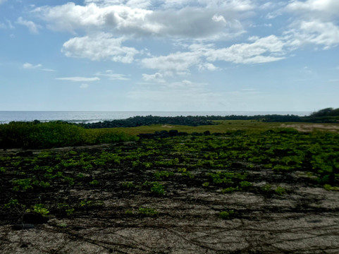 La Loberia-圣克里斯托瓦尔必去景点