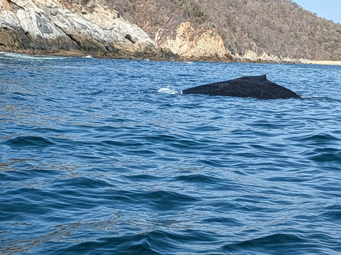 Mani Gonzalez Adventures-Crucecita必去景点