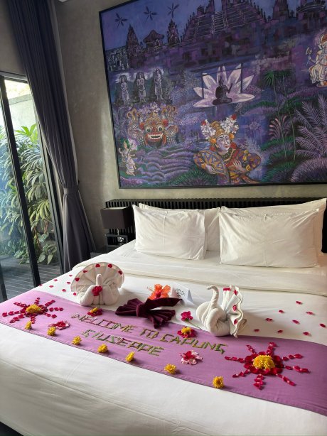 美丽蜻蜓酒店-官方