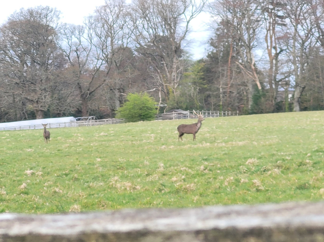 鲍尔斯考特温泉健康农家乐主图