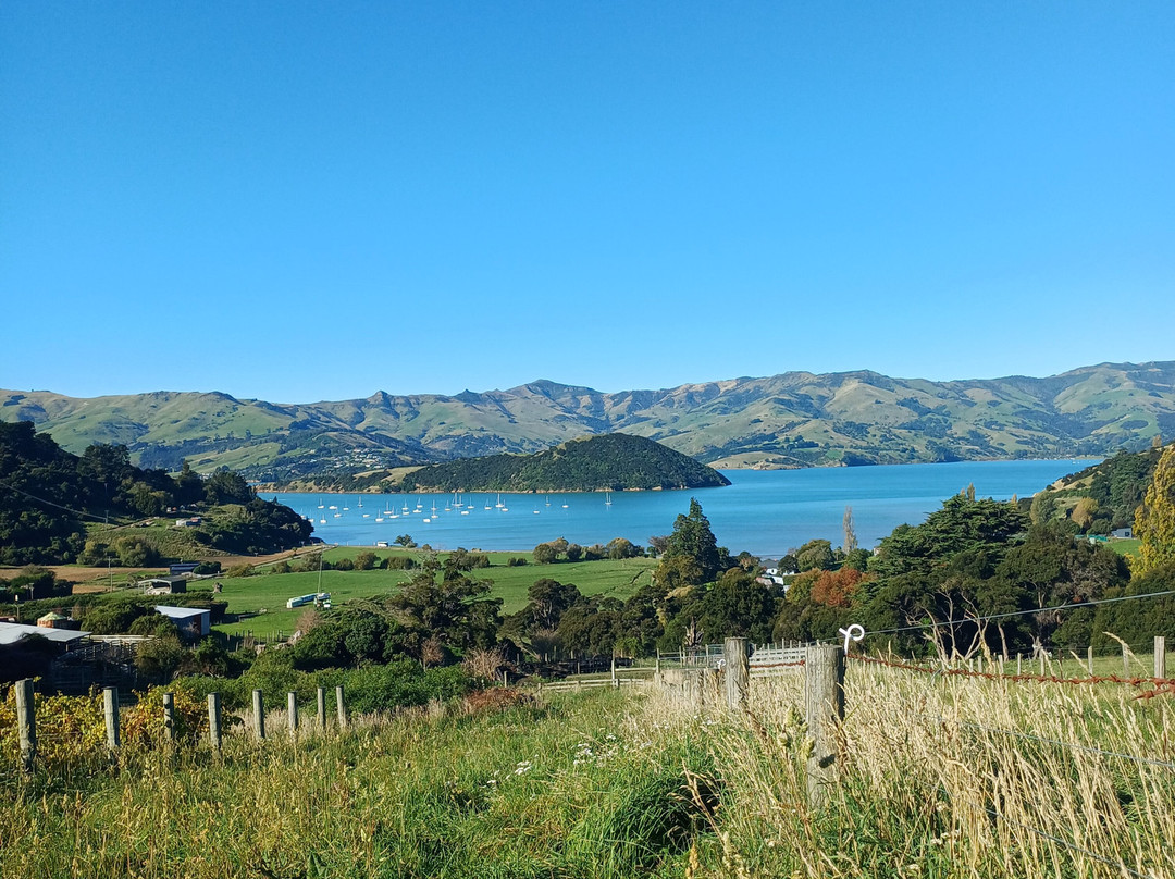 French Peak Vineyard-阿卡罗阿必去景点