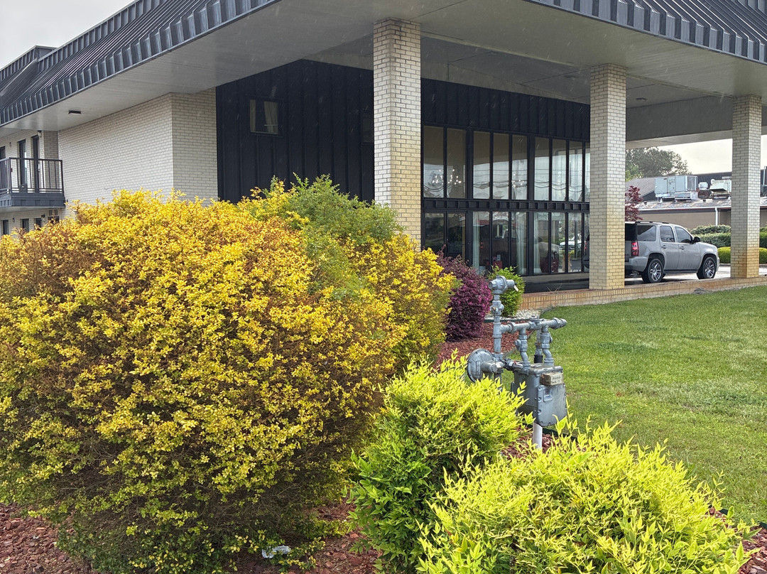 Days Inn by Wyndham Florence/I-95 North主图