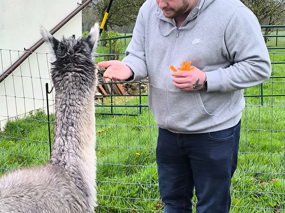 Reservoir Alpacas-Chard必去景点