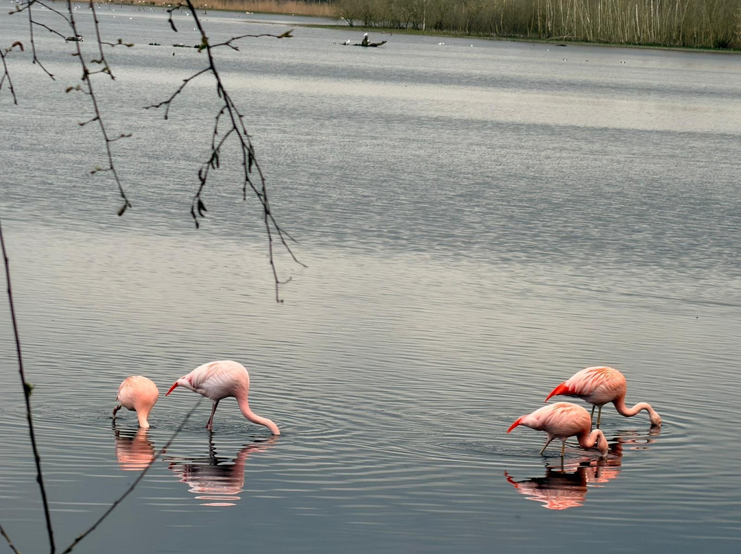Unieke Uitjes-Laren必去景点