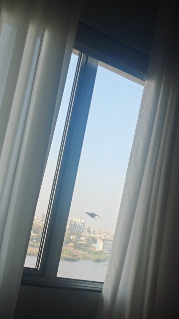 苏拉特万豪酒店-官方