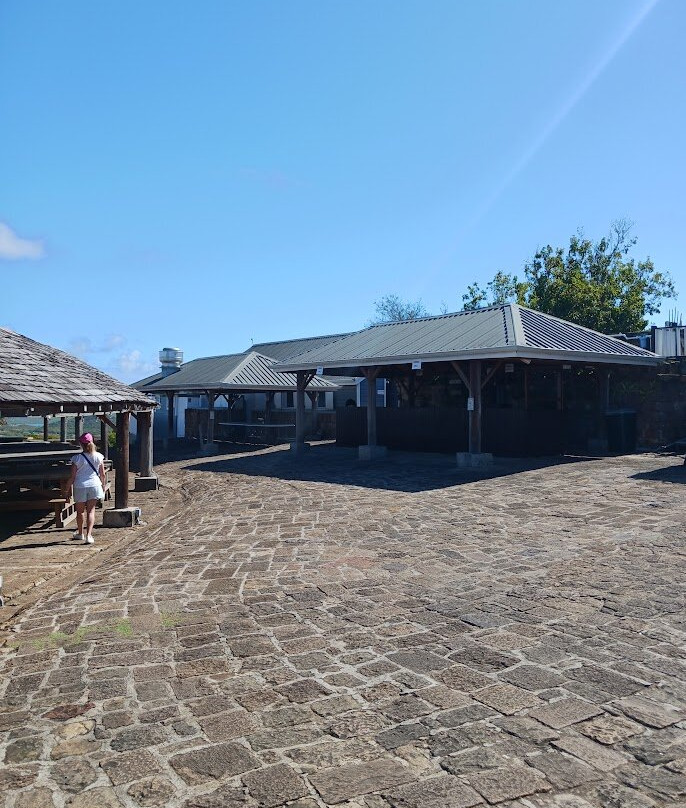 Shirley Heights-英吉利海港必去景点