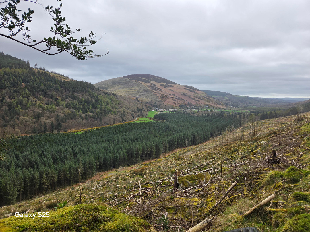 Glenmalure Lodge主图
