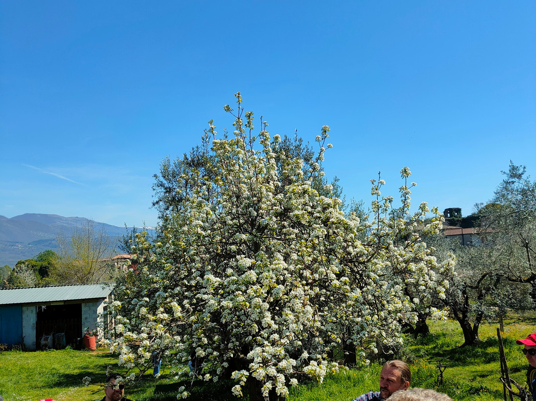Fattoria Didattica Marilù-Veroli必去景点