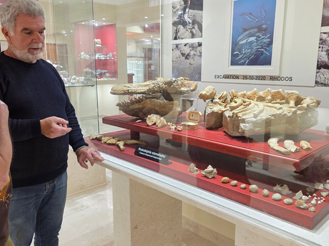 Museum of Mineralogy and Paleontology Stamatiadis-Ialysos必去景点