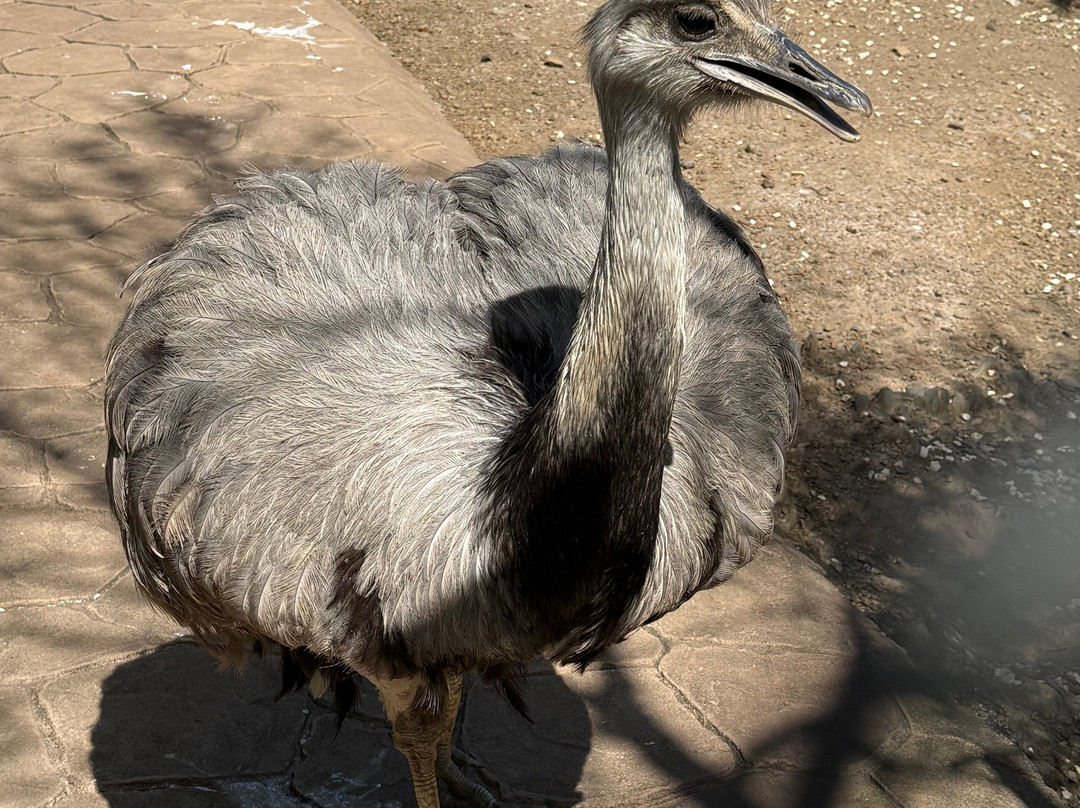 Mundo Park-Las Pajanosas必去景点
