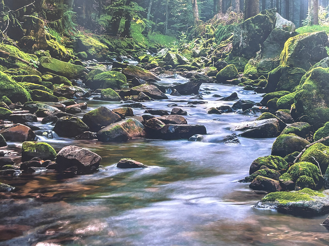 祖姆奥赫森餐厅-酒店主图