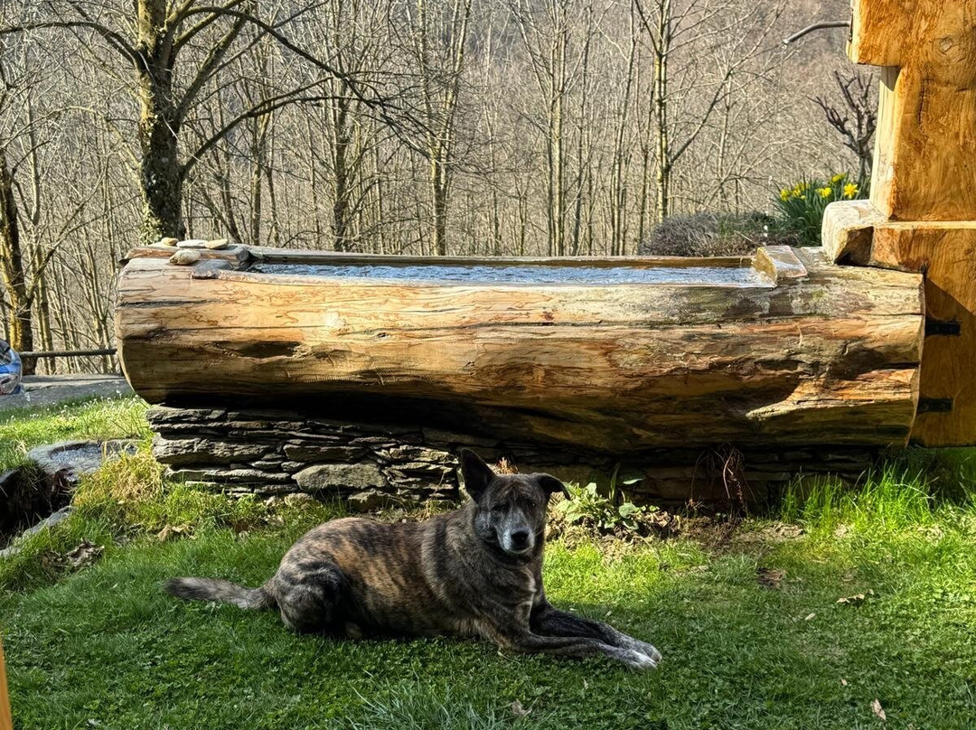 Il Bosco Incantato-Ostana必去景点