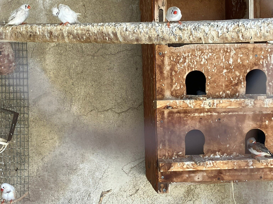 The Holy Monastery of Preveli-雷斯蒙必去景点