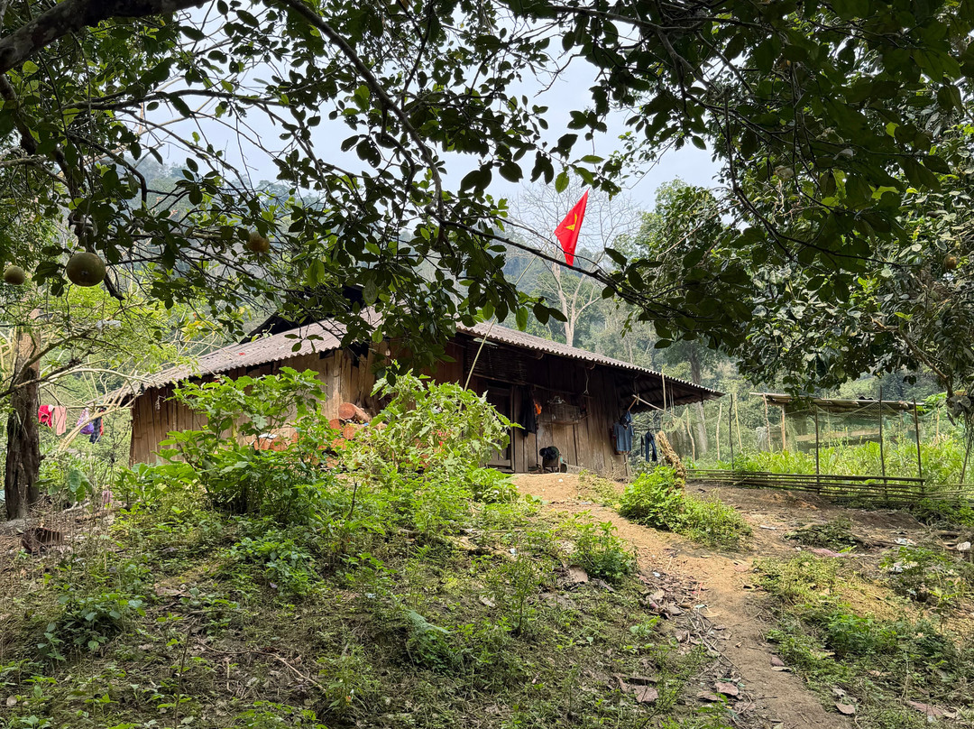 Ba Be Jungle Houses主图