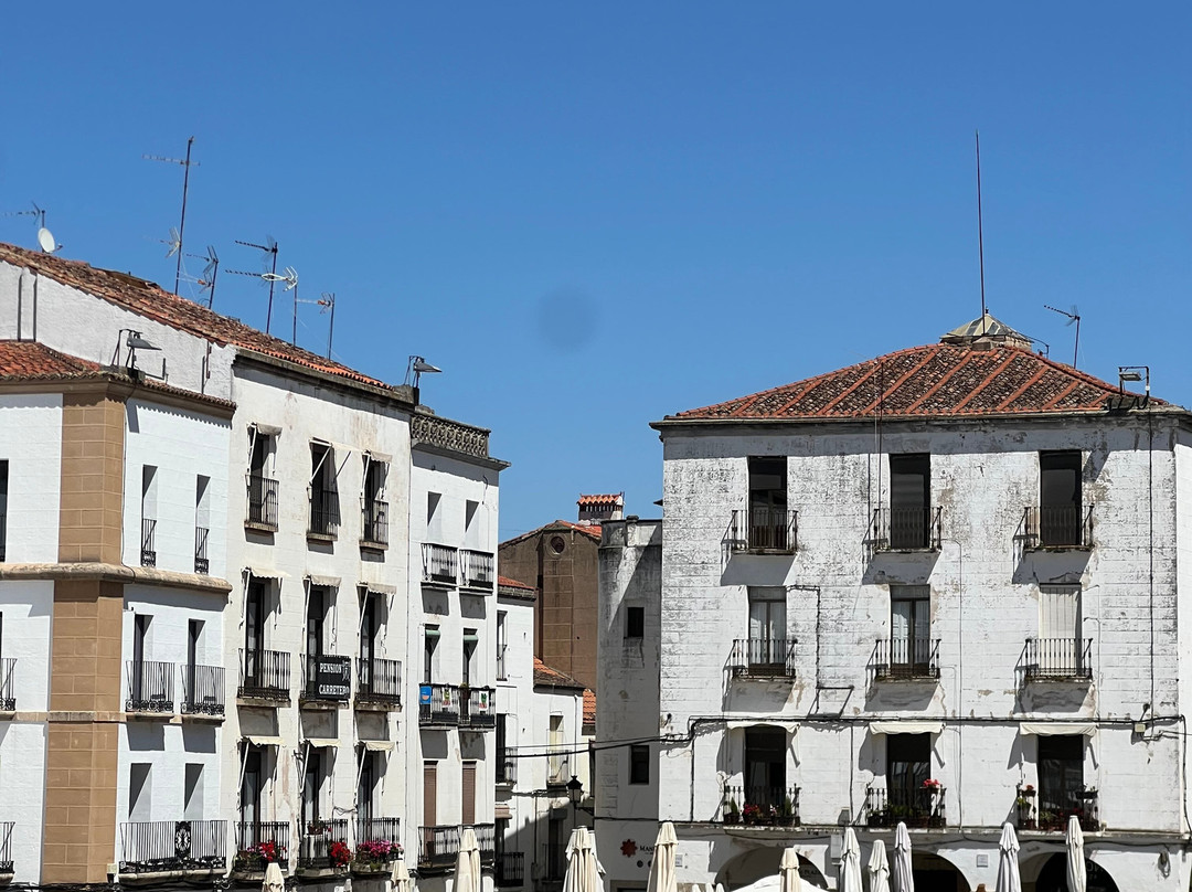 Spain Free Tours - Free Tour Cáceres-卡塞雷斯必去景点