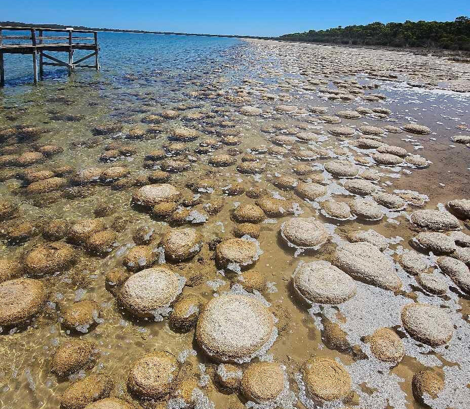 Thrombolites of Lake Clifton-Yalgorup National Park必去景点