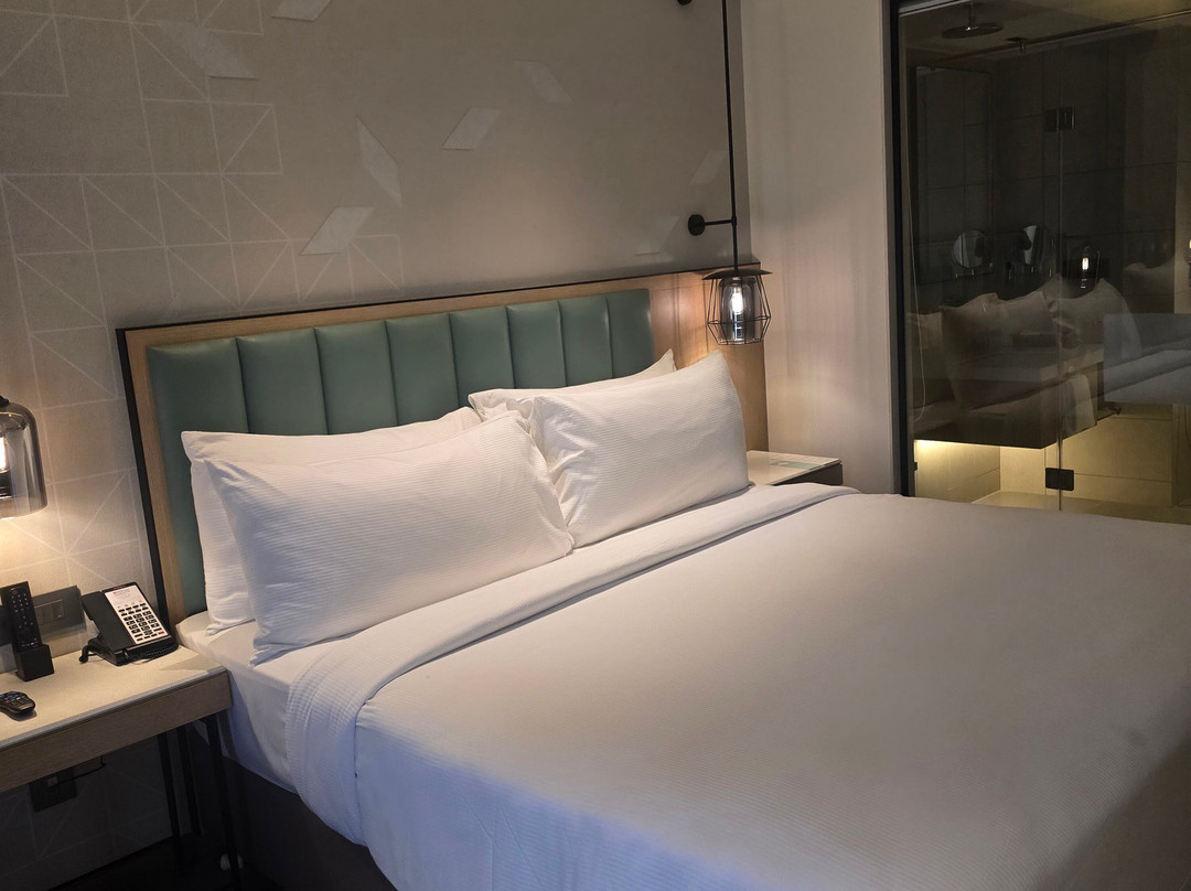 苏拉特市中心希尔顿花园酒店主图