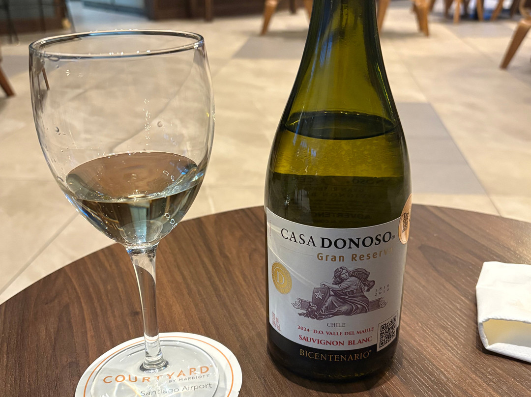 圣地亚哥机场万怡酒店主图