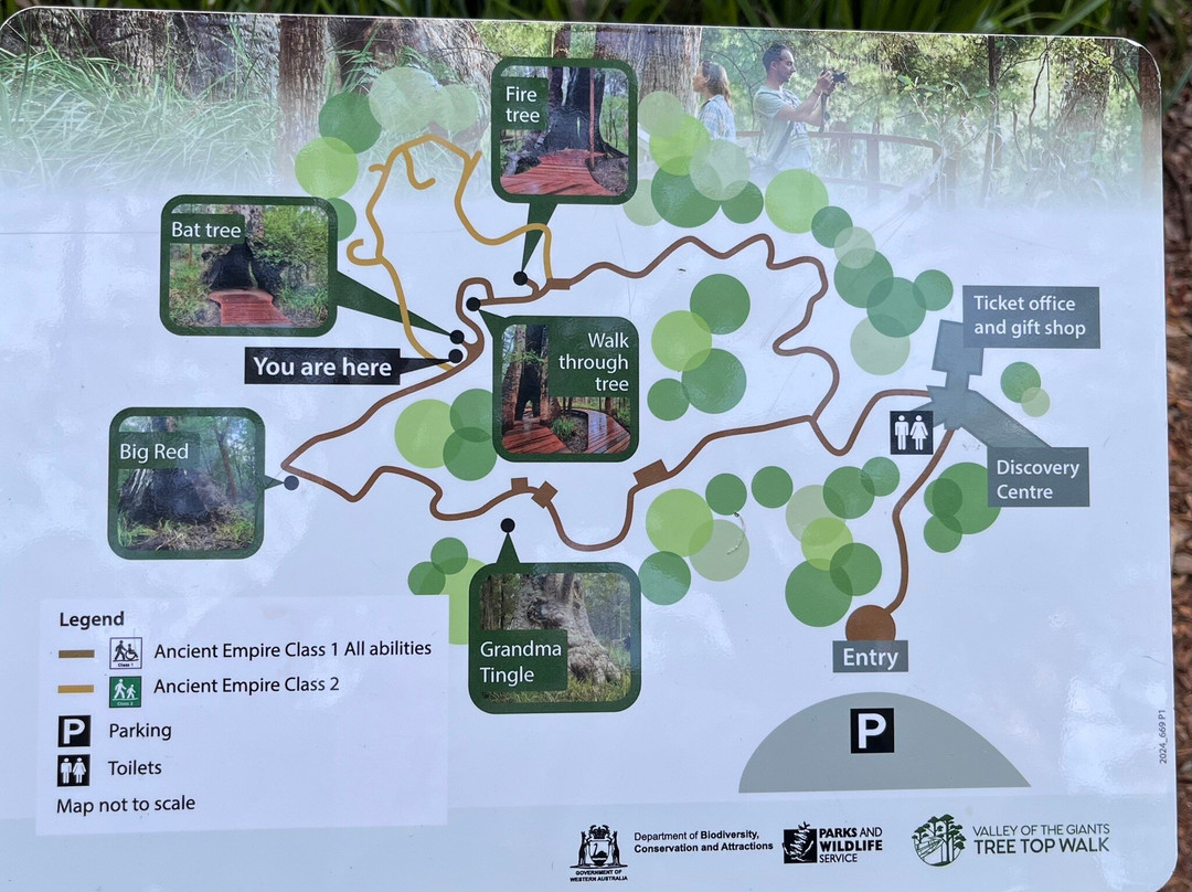 Valley of the Giants Tree Top Walk-Nornalup必去景点