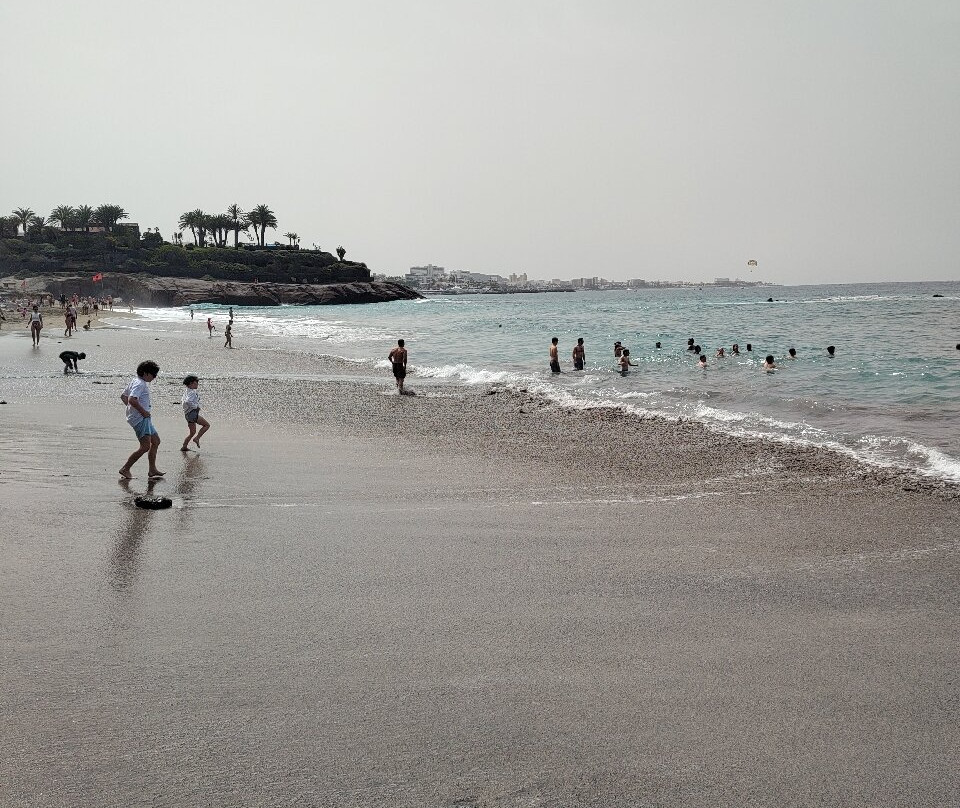Playa del Duque-奥德杰海岸必去景点