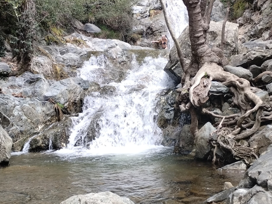 Cyprus Sunshine Safari Tours-Tala必去景点