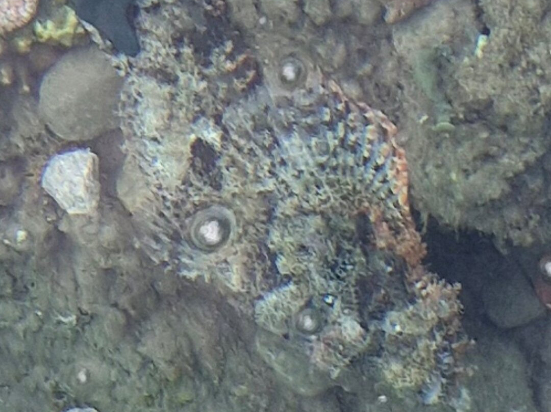 幸福生活村度假酒店主图