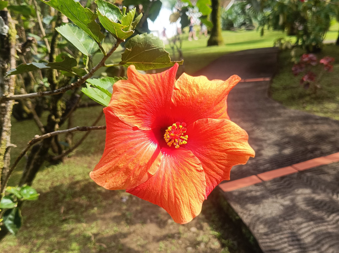 Jardin de Balata-法兰西堡必去景点