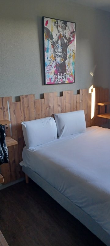 Temis hôtel Besançon-旅行者