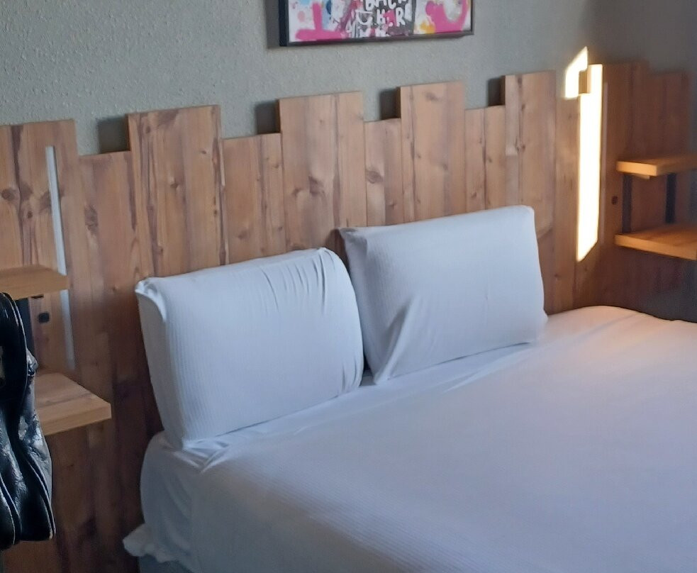 Temis hôtel Besançon主图