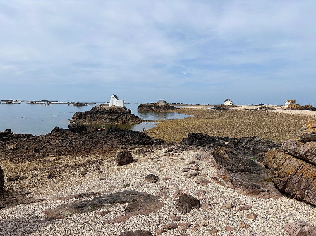 Island RIB Voyages-St Catherine's必去景点