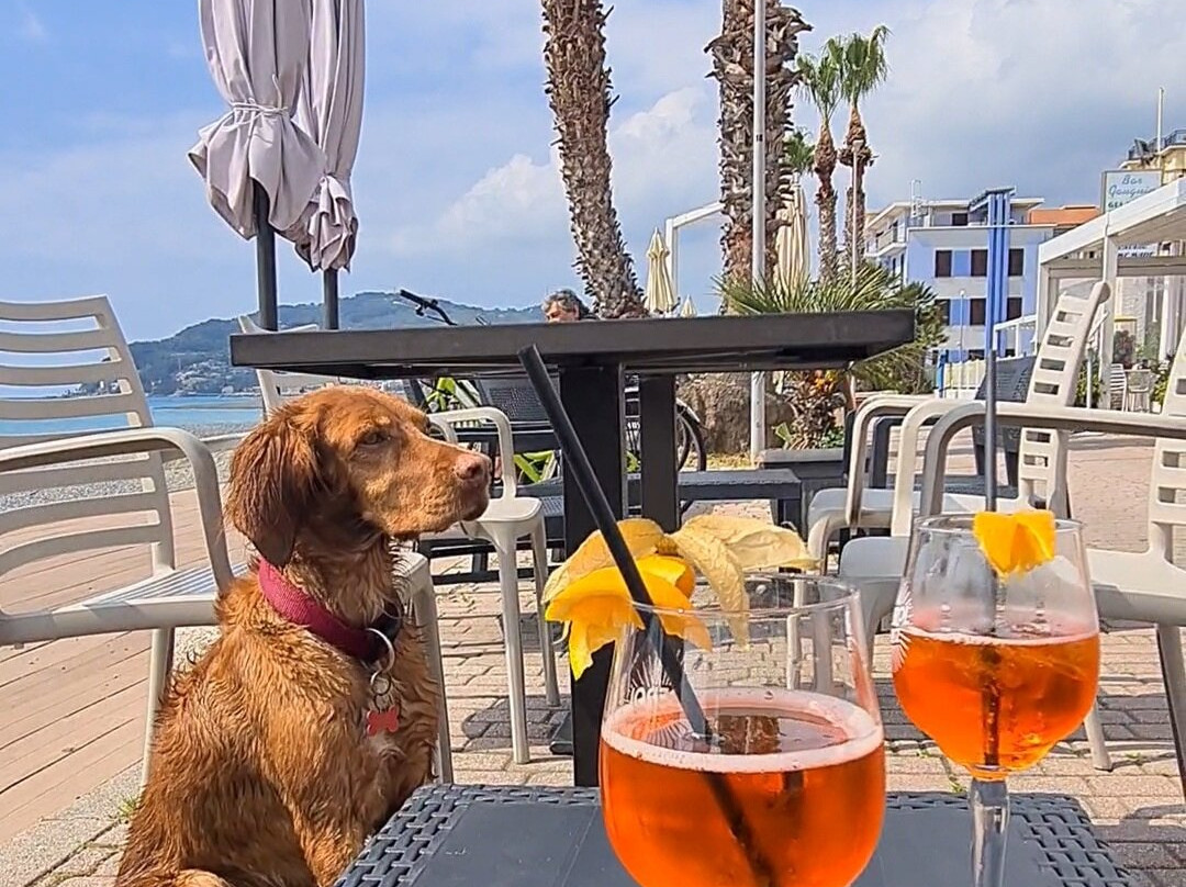 辉煌酒店主图
