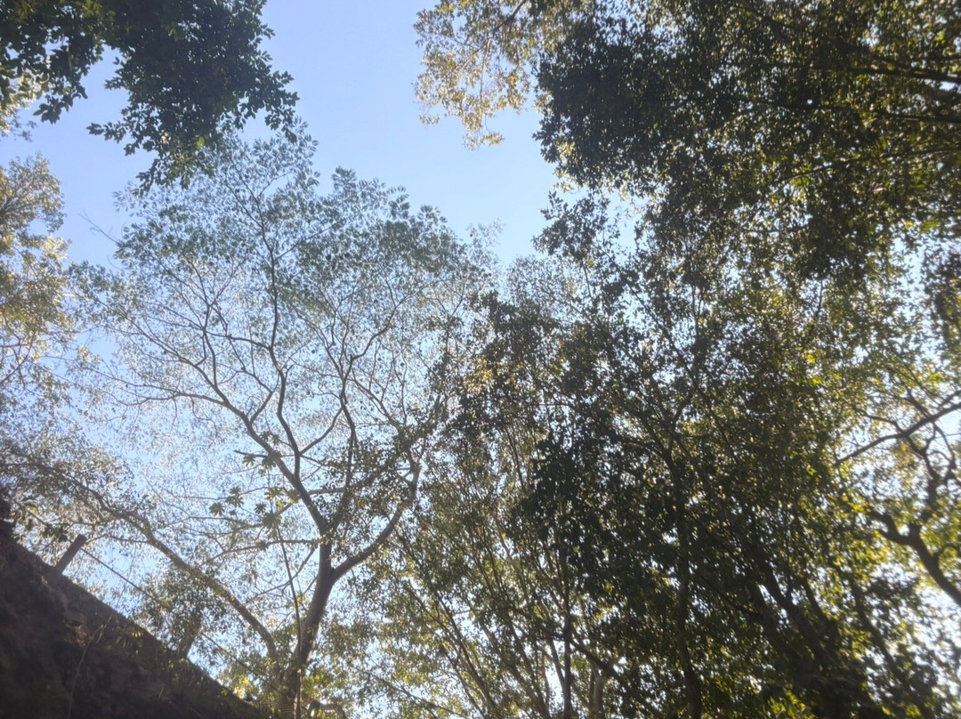 Cenote Lol-Ha-Yaxuna必去景点
