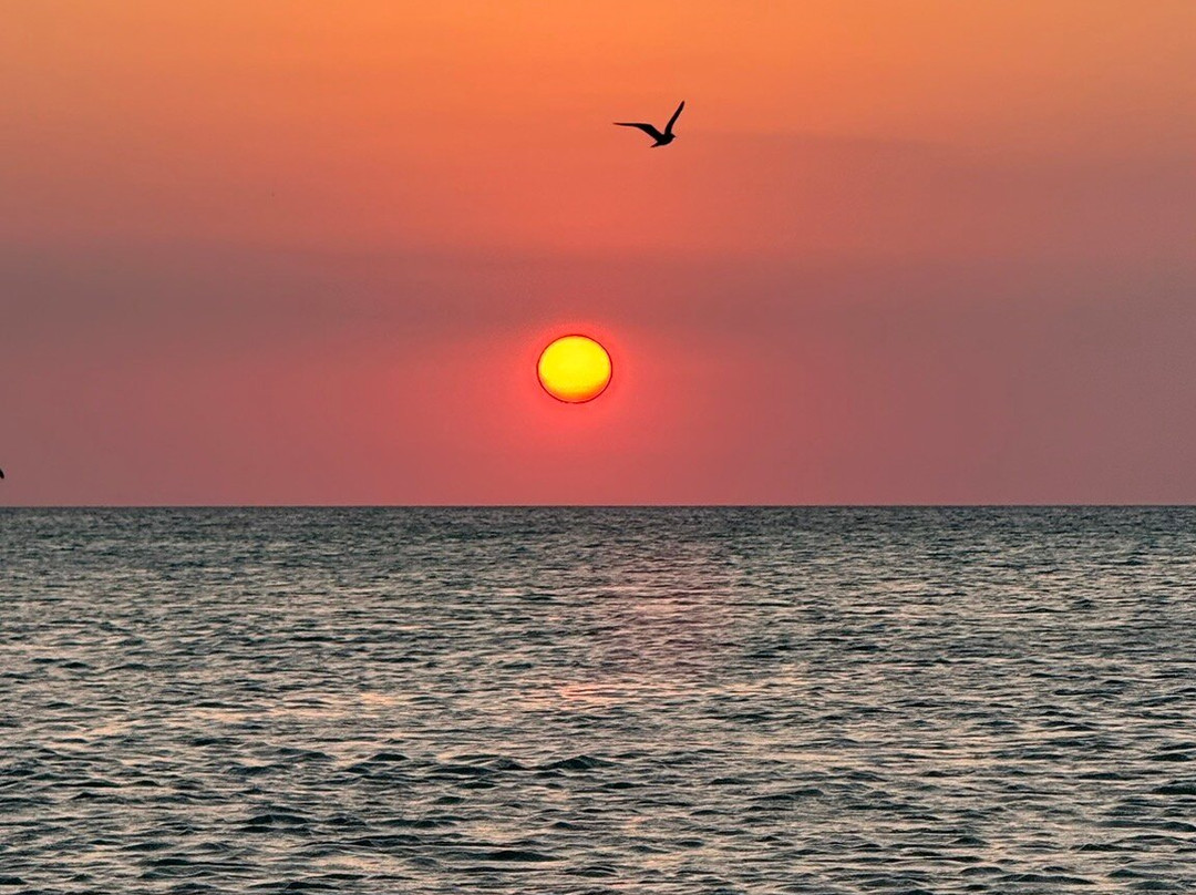 My Holbox Tours-Holbox必去景点