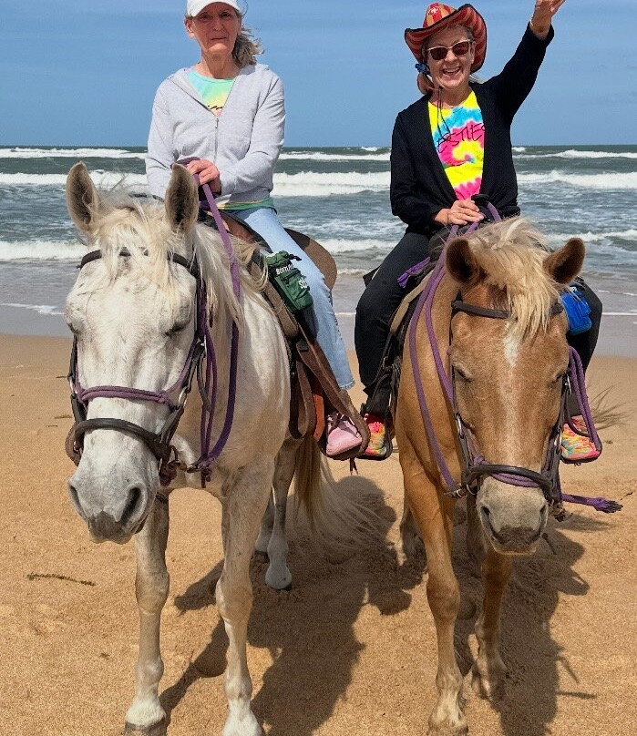 Equestrian Adventures of Florida-代托纳比奇必去景点