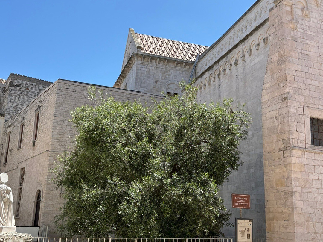 Concattedrale di Ruvo di Puglia-Ruvo Di Puglia必去景点