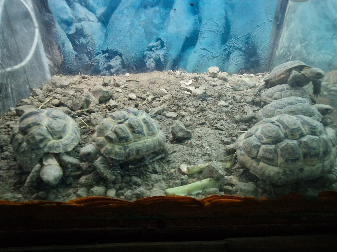 Aquarium Of Faliraki (Aquaworld)-Faliraki必去景点