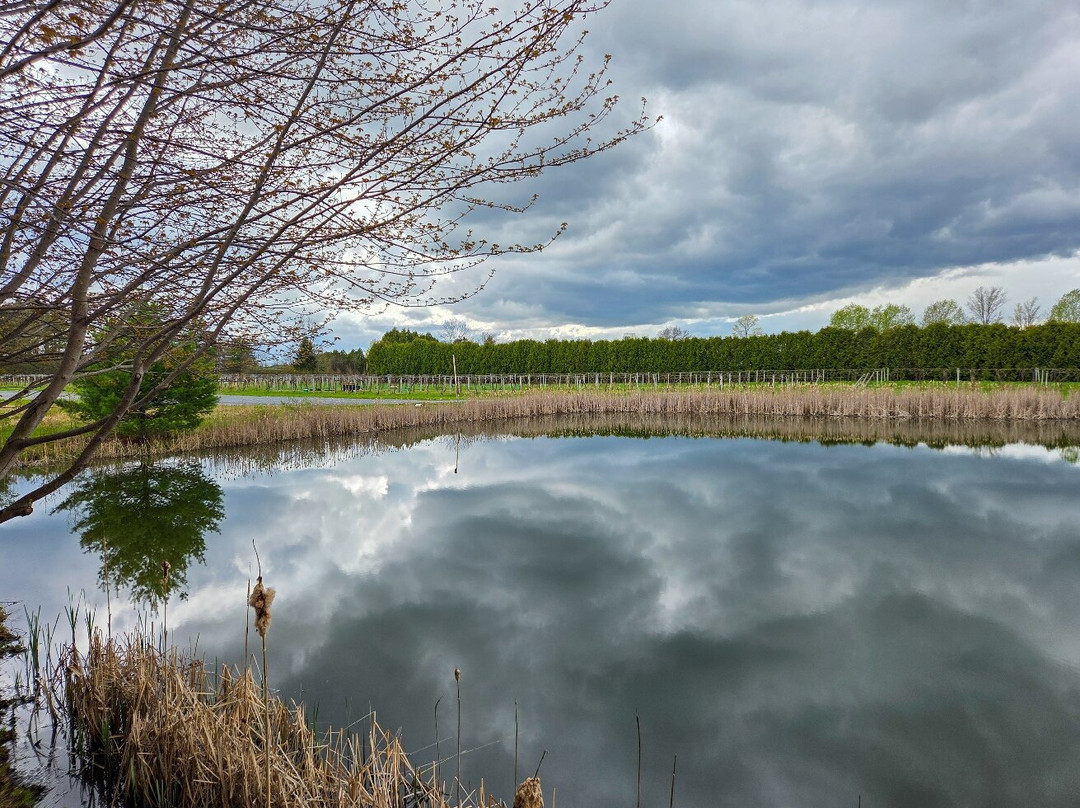 Lincoln Peak Vineyard-Middlebury必去景点