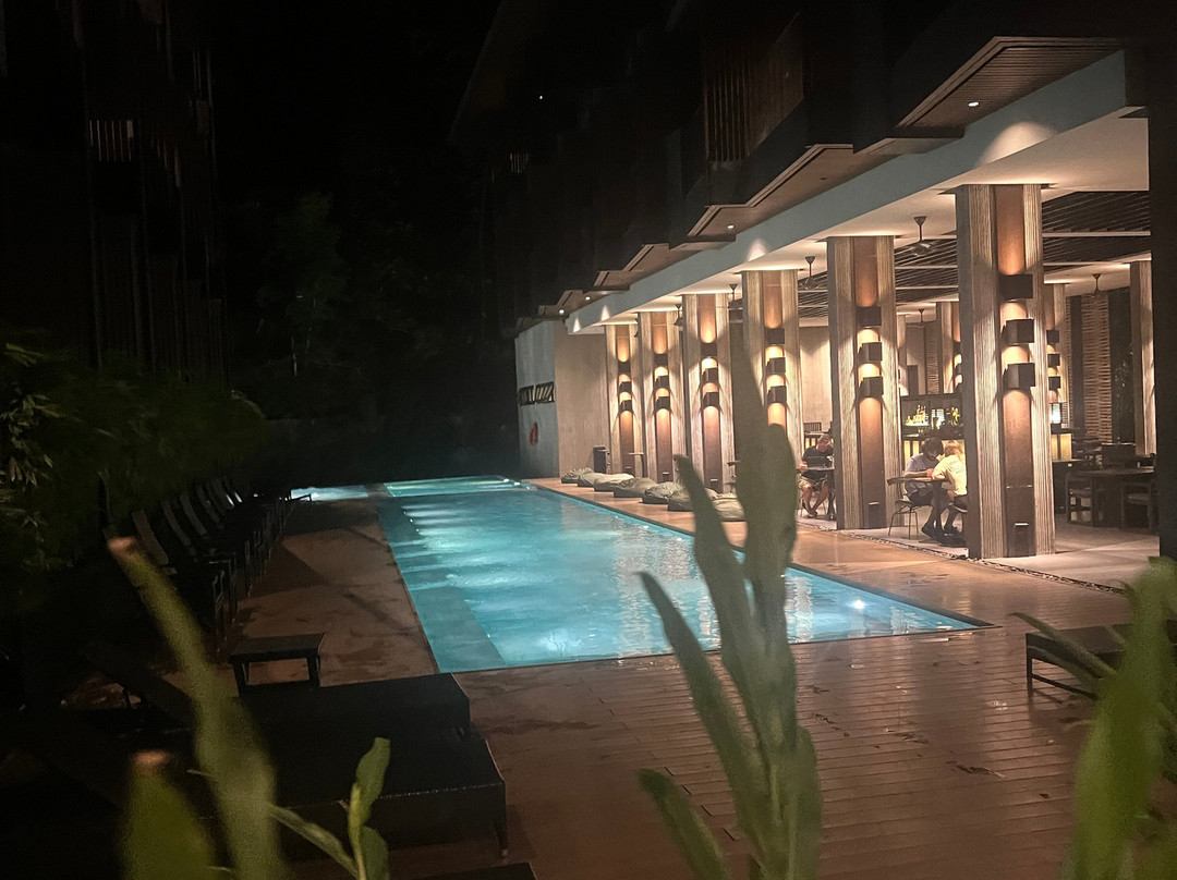 有趣的狮子酒店-爱妮岛主图